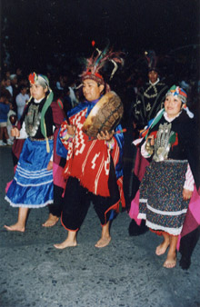 procession in costume