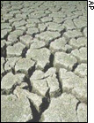 Picture of a drought