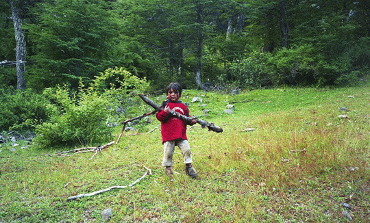 Mapuche child holding a branch