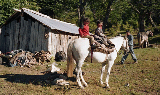 Two Mapuche children on a horse