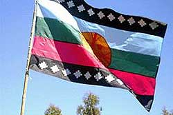 Foto: Bandera nacional Mapuche
